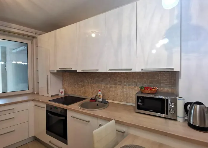 Contemporary In Napoca *